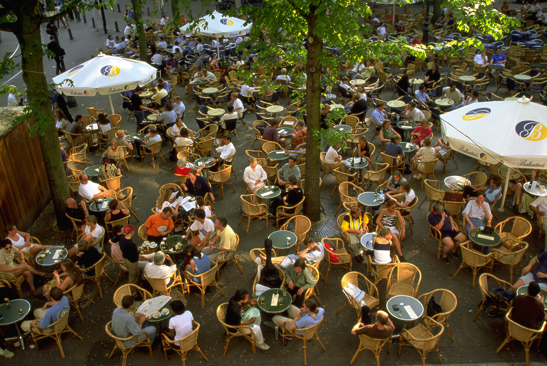 Outdoor café scene with numerous guests seated at tables under trees
