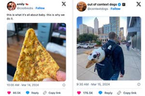 Left: A hand holding a slice of seasoned pizza. Right: A person walking a corgi in a backpack on a city sidewalk