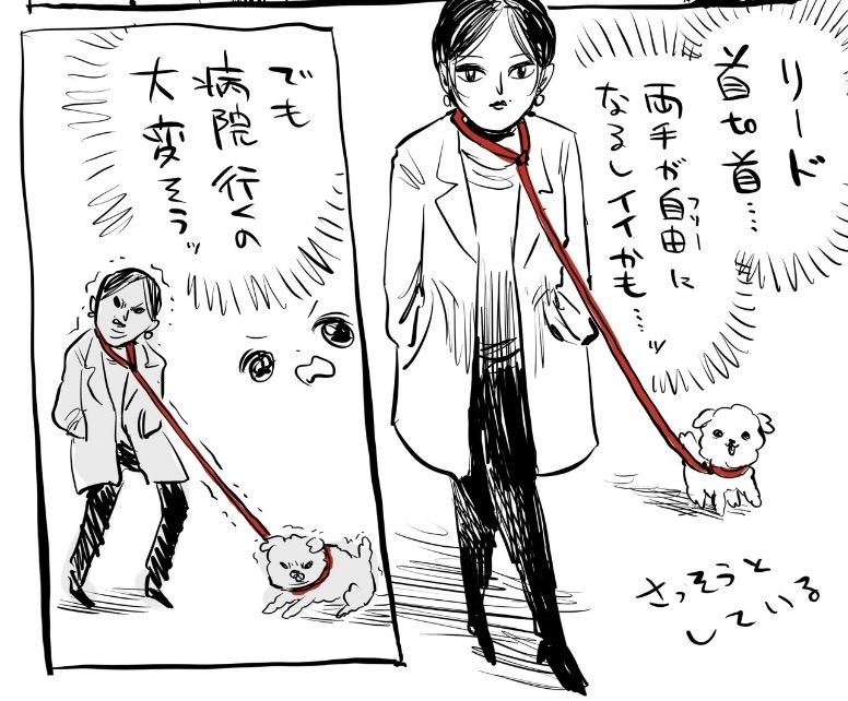 少女がリードを持った犬を散歩させているイラストです。