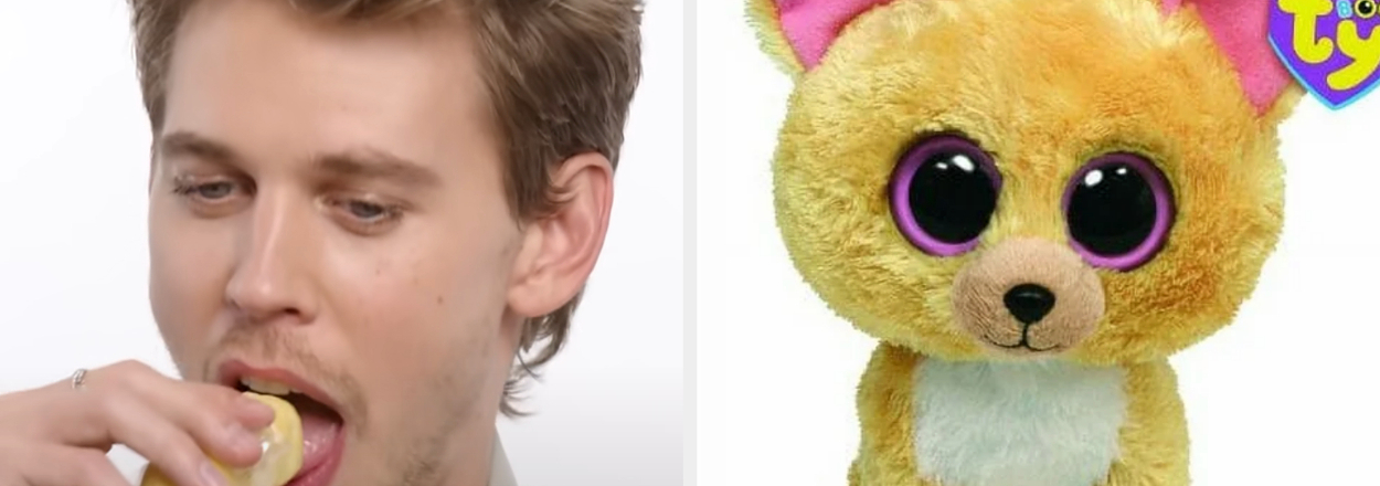 On the left, Austin Butler eating a Twinkie, and on the right, a Chihuahua Beanie Boo