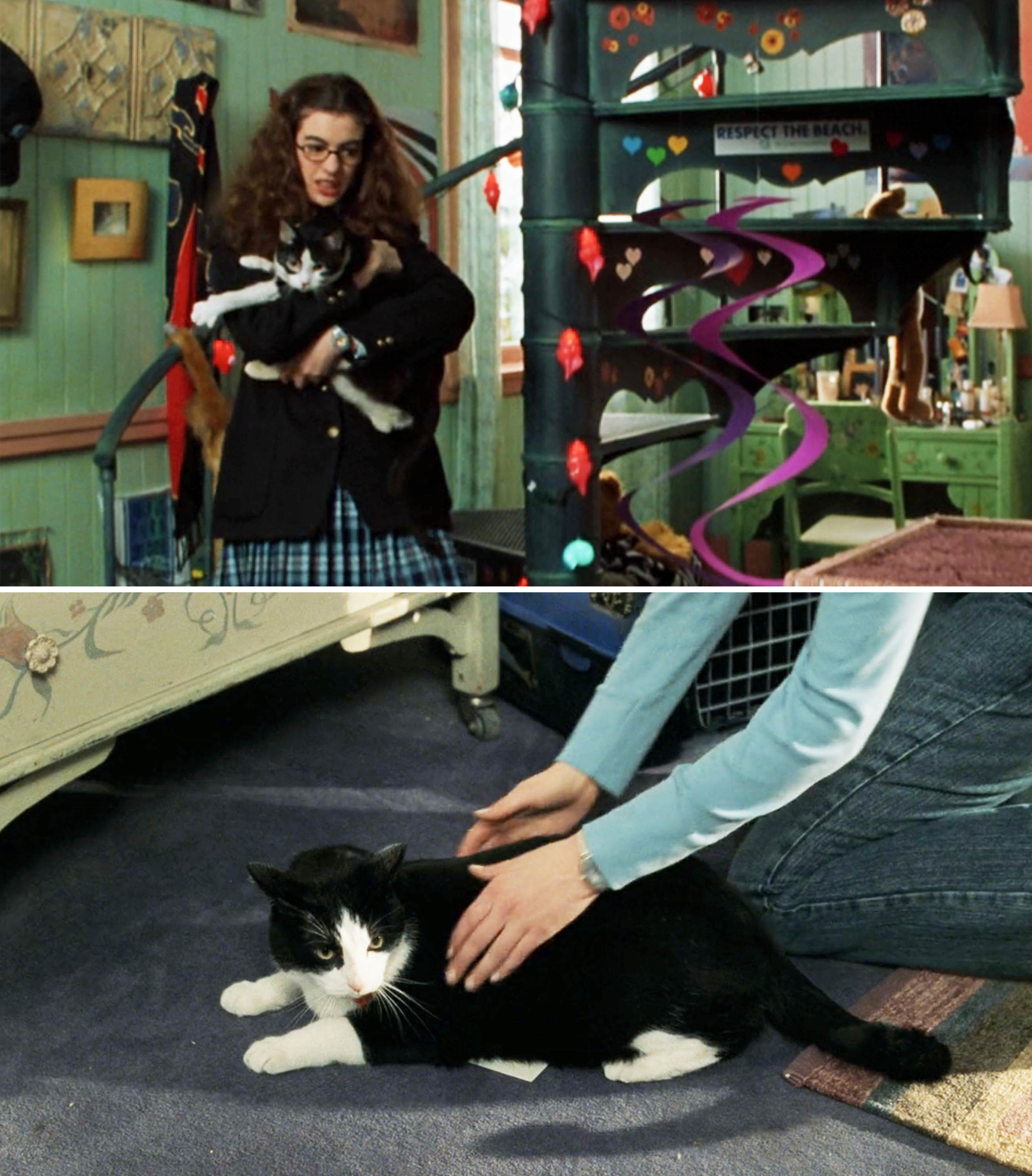 Top: Mia from The Princess Diaries holds her cat Fat Louie; bottom: A hand pets Fat Louie on a bed
