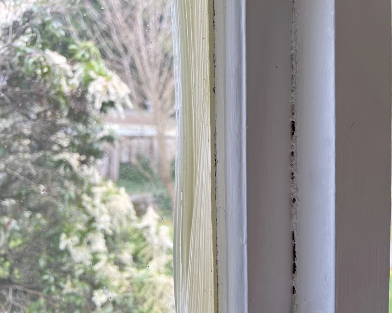 Close-up of window frame showing signs of wear and potential mold growth with blurry garden backdrop