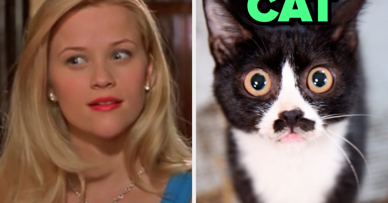 Pick Movies Reveal Inner Animal Quiz