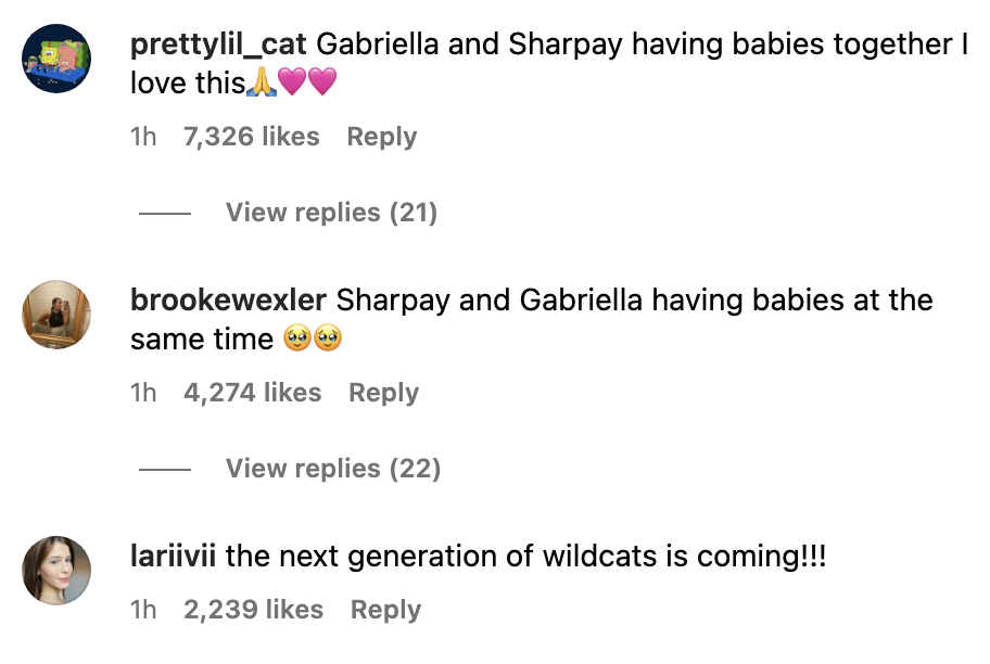Three comments, including &quot;Gabriella and Sharpay having babies together I love this,&quot; &quot;Sharpay and Gabriella having babies at the same time,&quot; and &quot;the next generation of wildcats is coming!!!&quot;