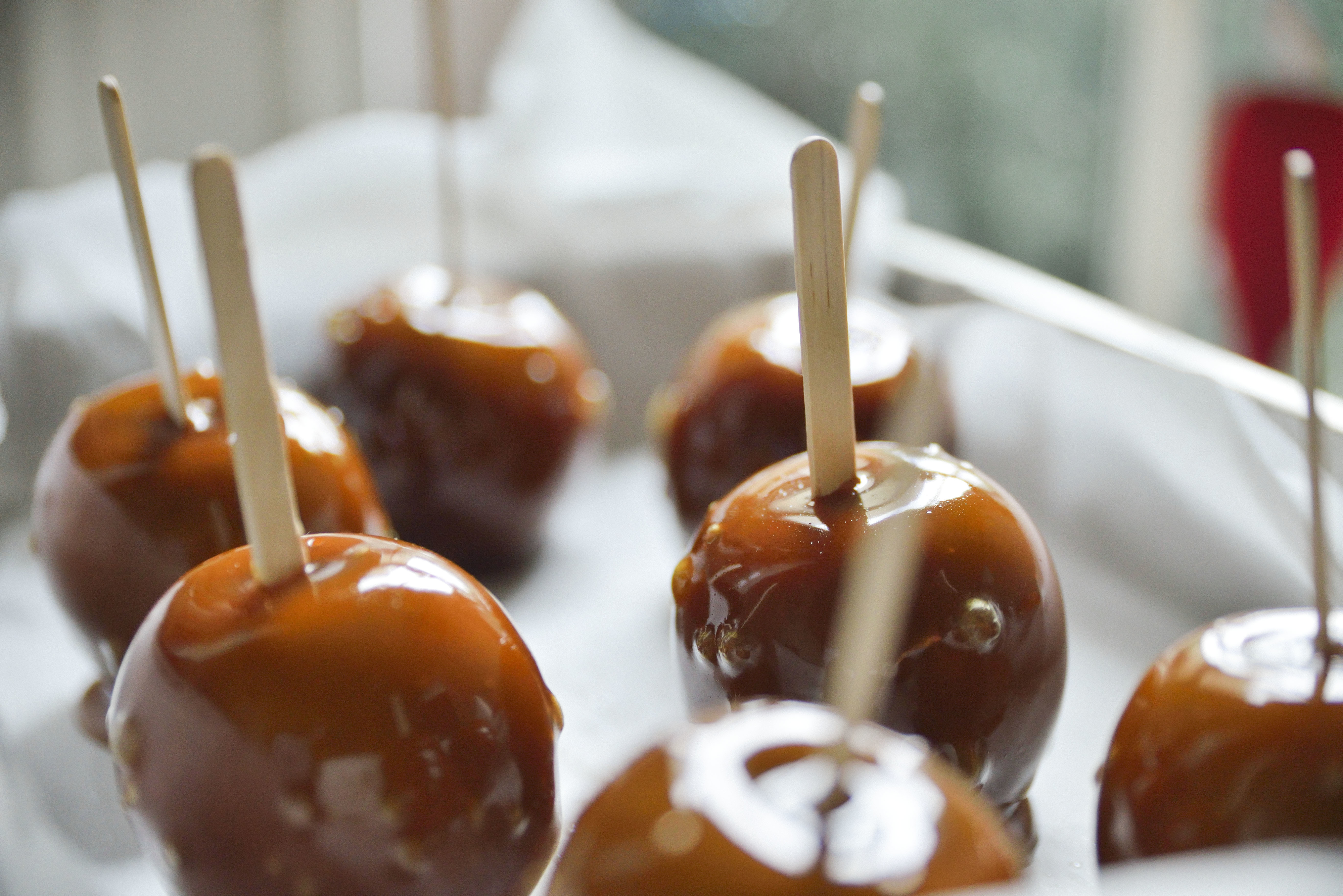 Caramel apples with sticks on a tray, depicted up close
