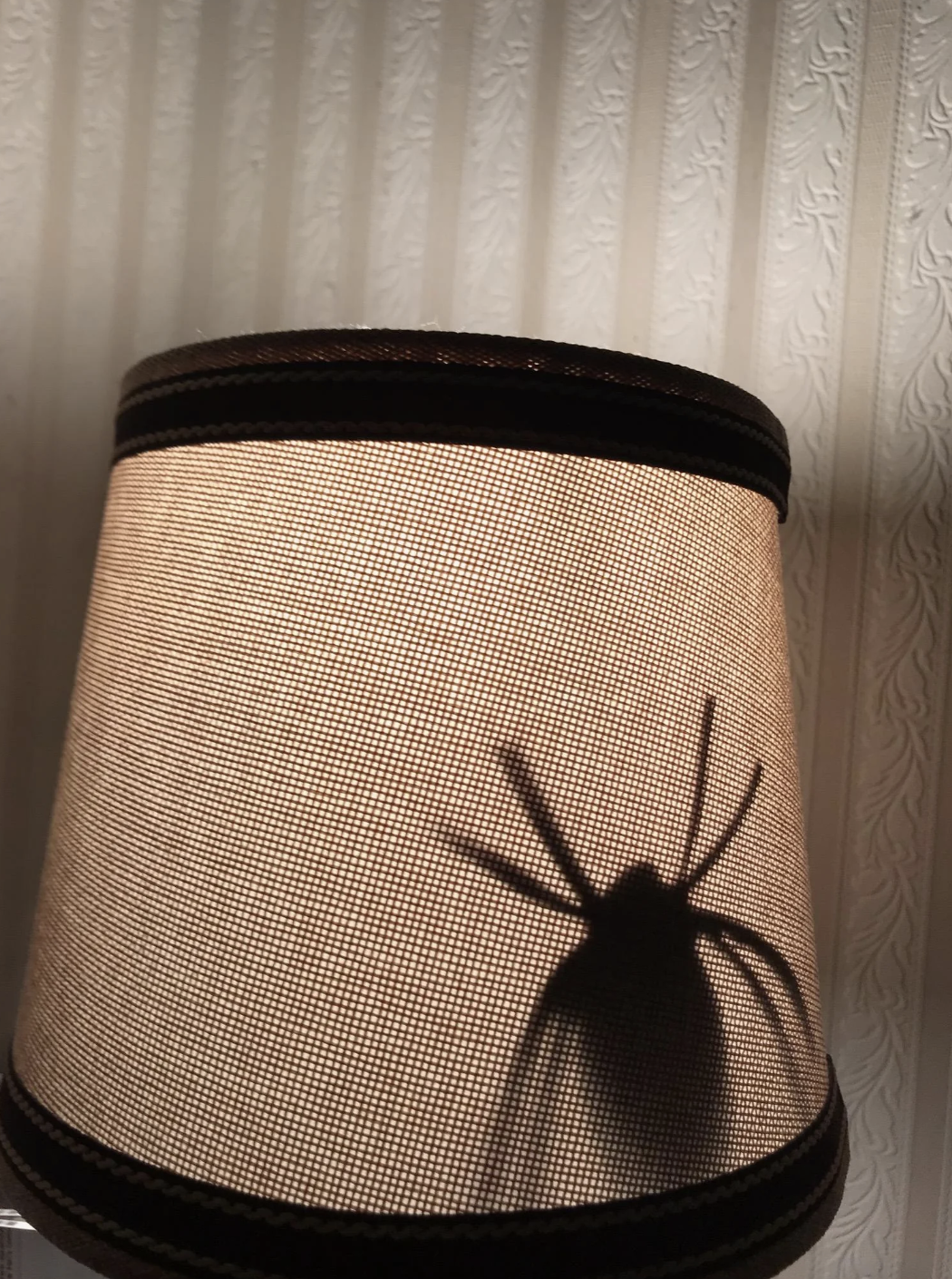 Lampshade with a shadow of a huge spider
