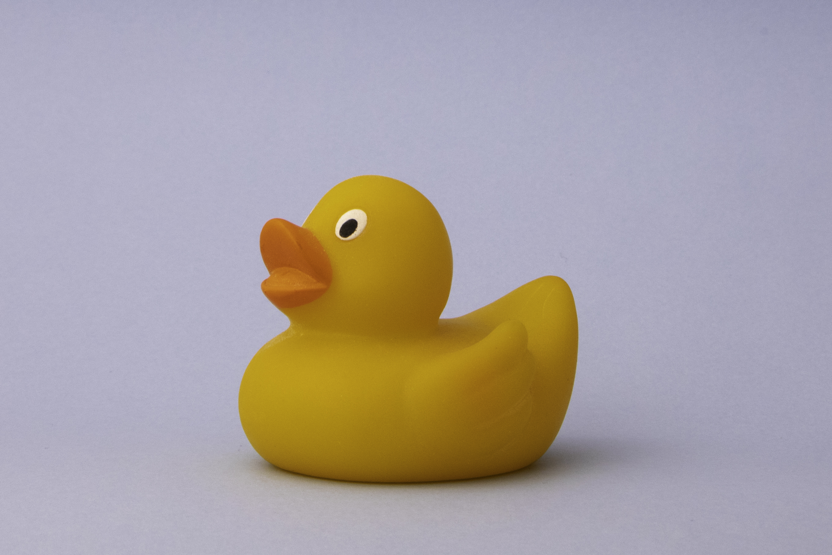 Rubber duck toy on a plain background