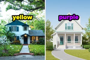 Two houses, one labeled "yellow" despite being blue, the other "purple" yet white, illustrating a color-naming error or concept
