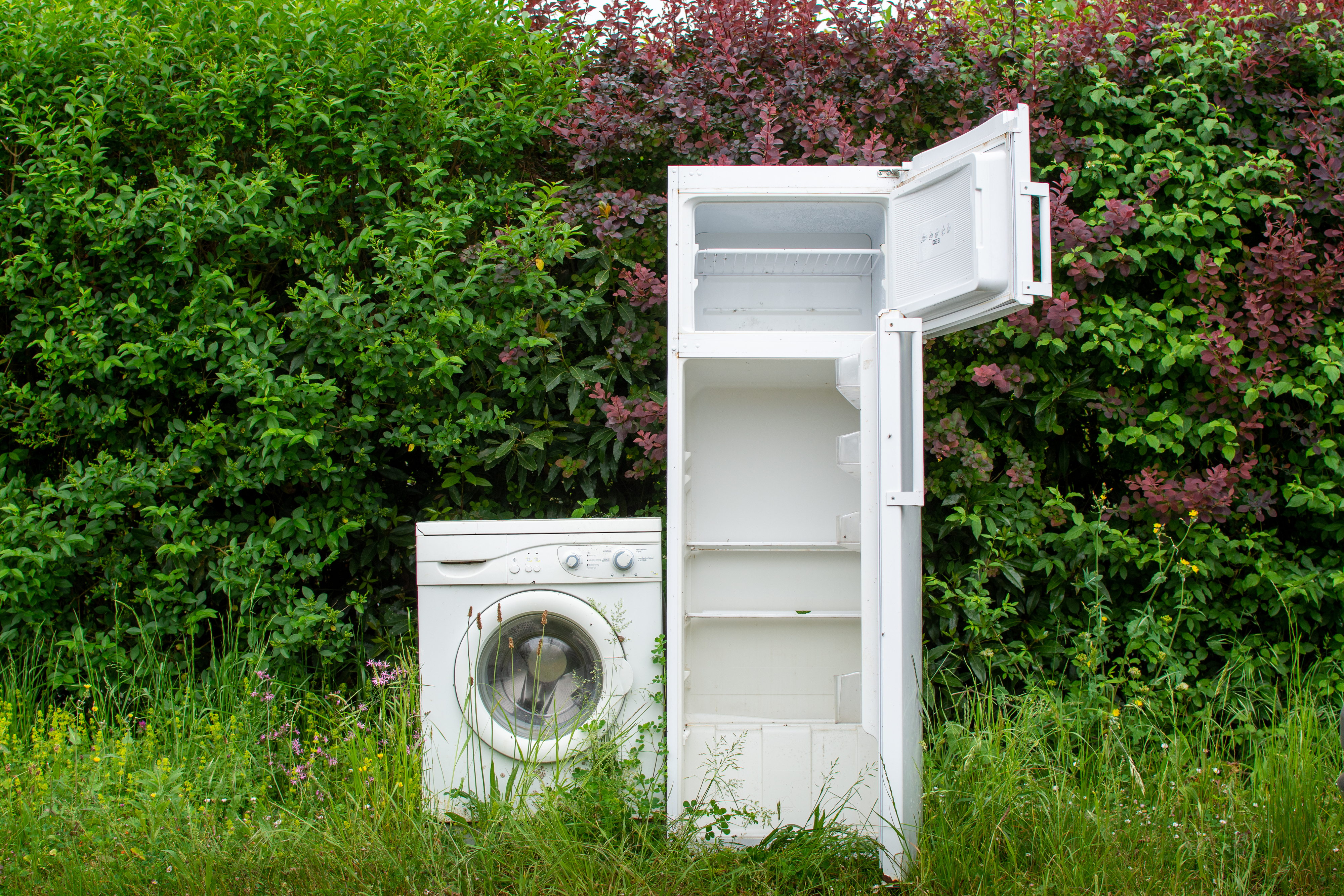 broken fridge and washing machine in a grass lot