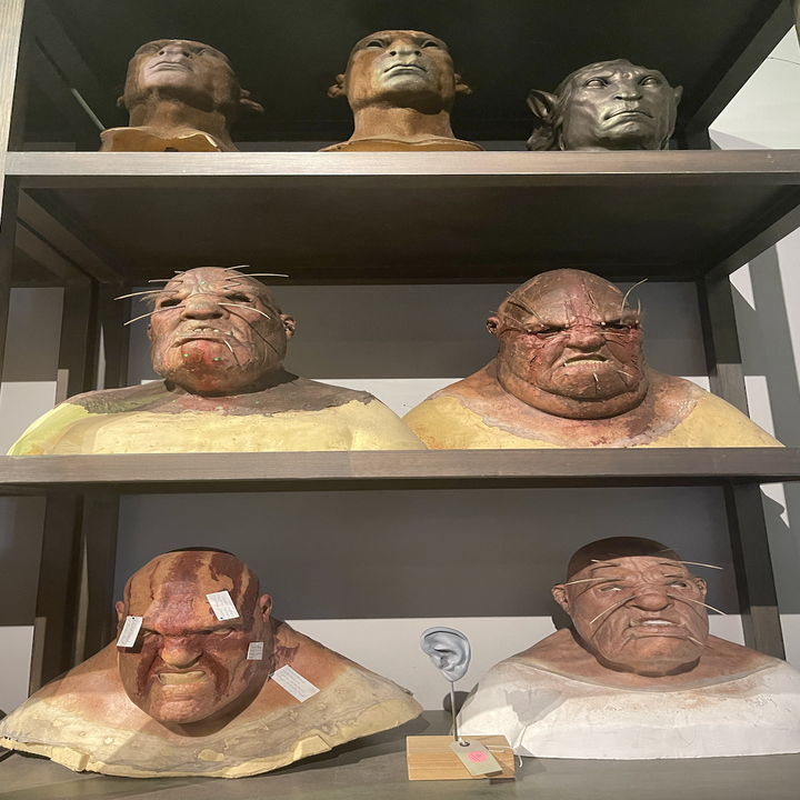 Five special effects movie prosthetic heads displayed on shelves, likely from a fantasy or sci-fi film