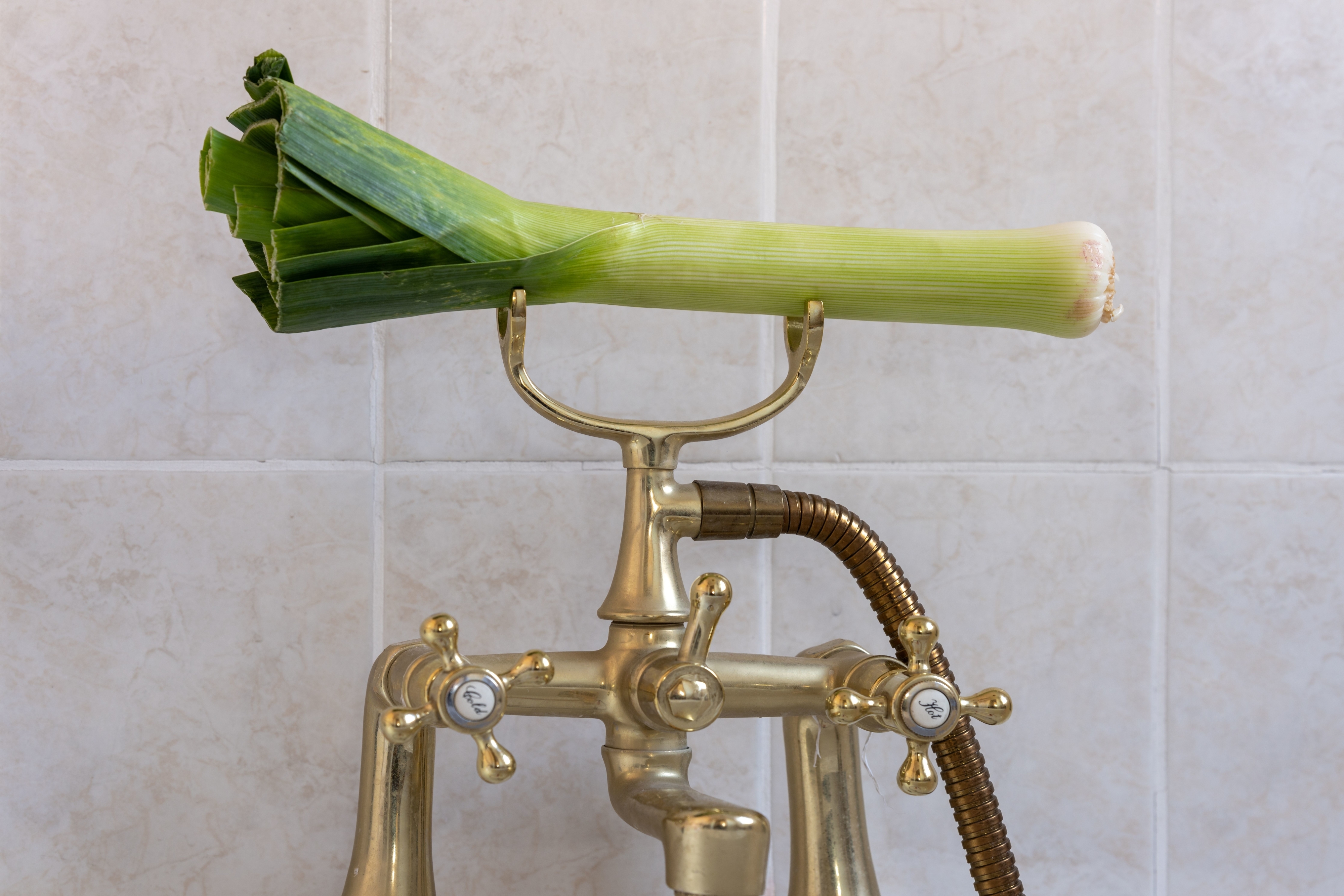 Leek positioned on a gold-tone bathroom faucet, against a tiled wall