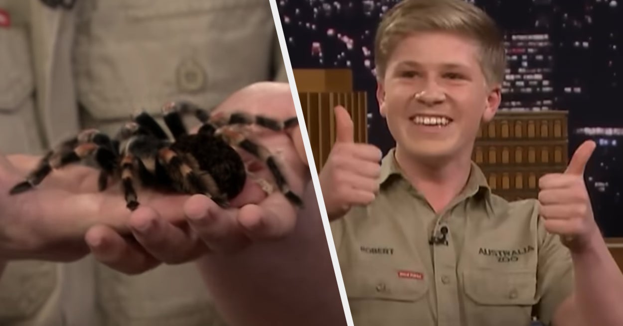 Which Unique Pet Is Right For You Quiz