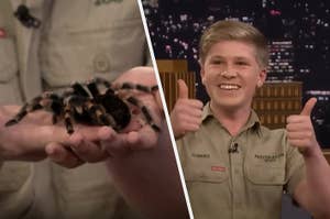 A tarantula being held and Robert Irwin giving two thumbs up.