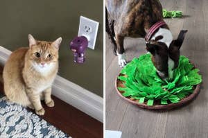 A cat next to purple diffuser that's plugged into an outlet, and a dog engaging with a green snuffle mat