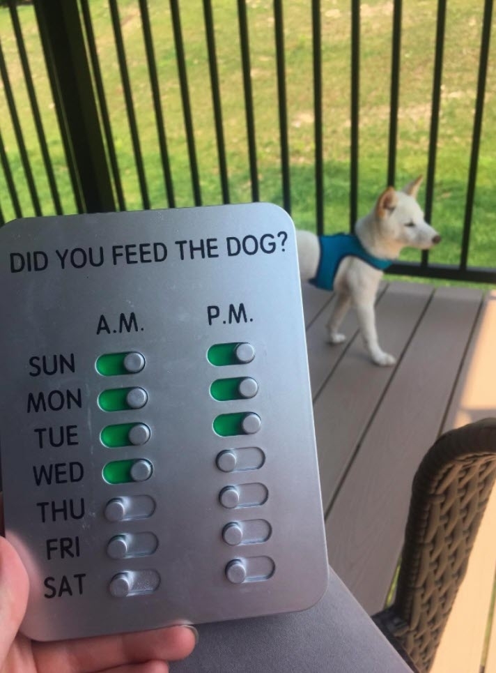 Hand holding &quot;Did You Feed the Dog?&quot; schedule with sliders, dog in blue coat in background on porch