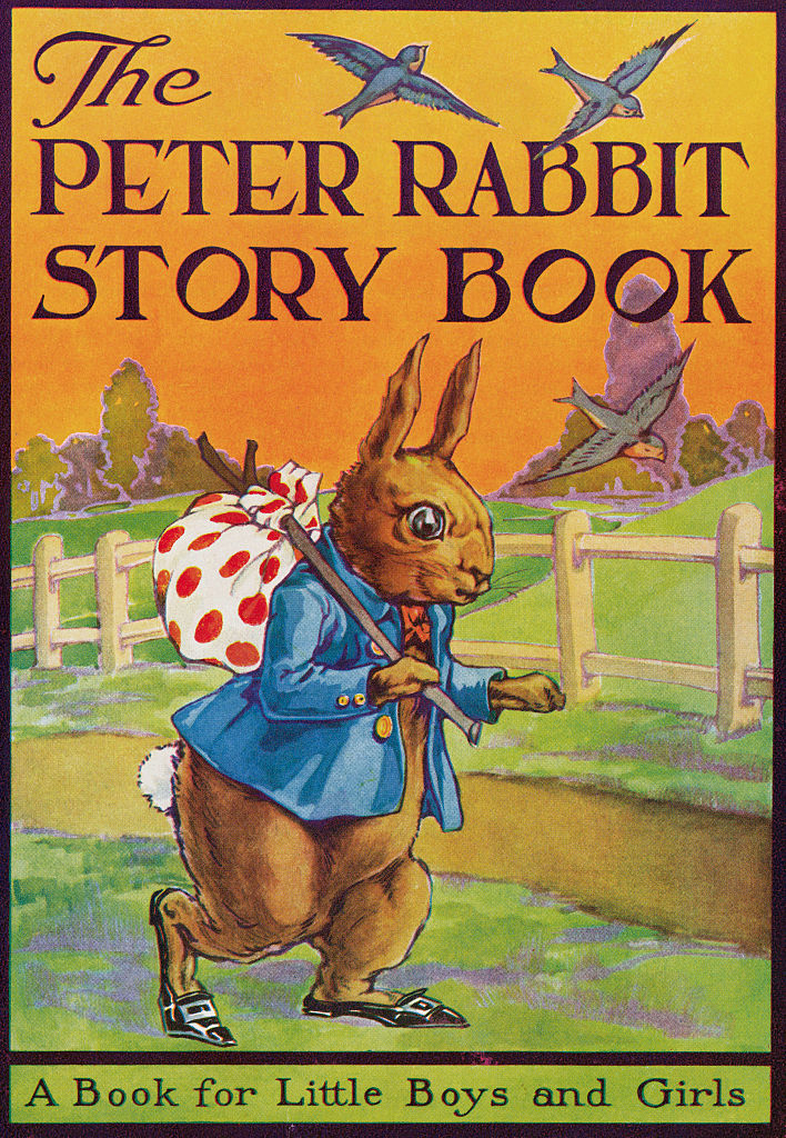 Cover of &quot;The Peter Rabbit Story Book&quot; featuring an illustrated rabbit in clothes with a bird overhead