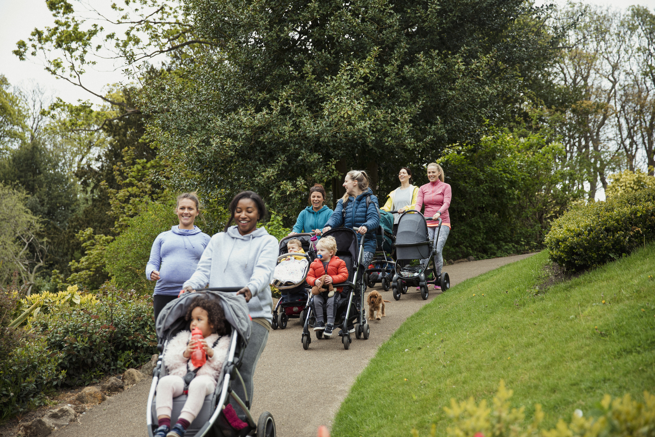 Group of moms walking with strollers in a park