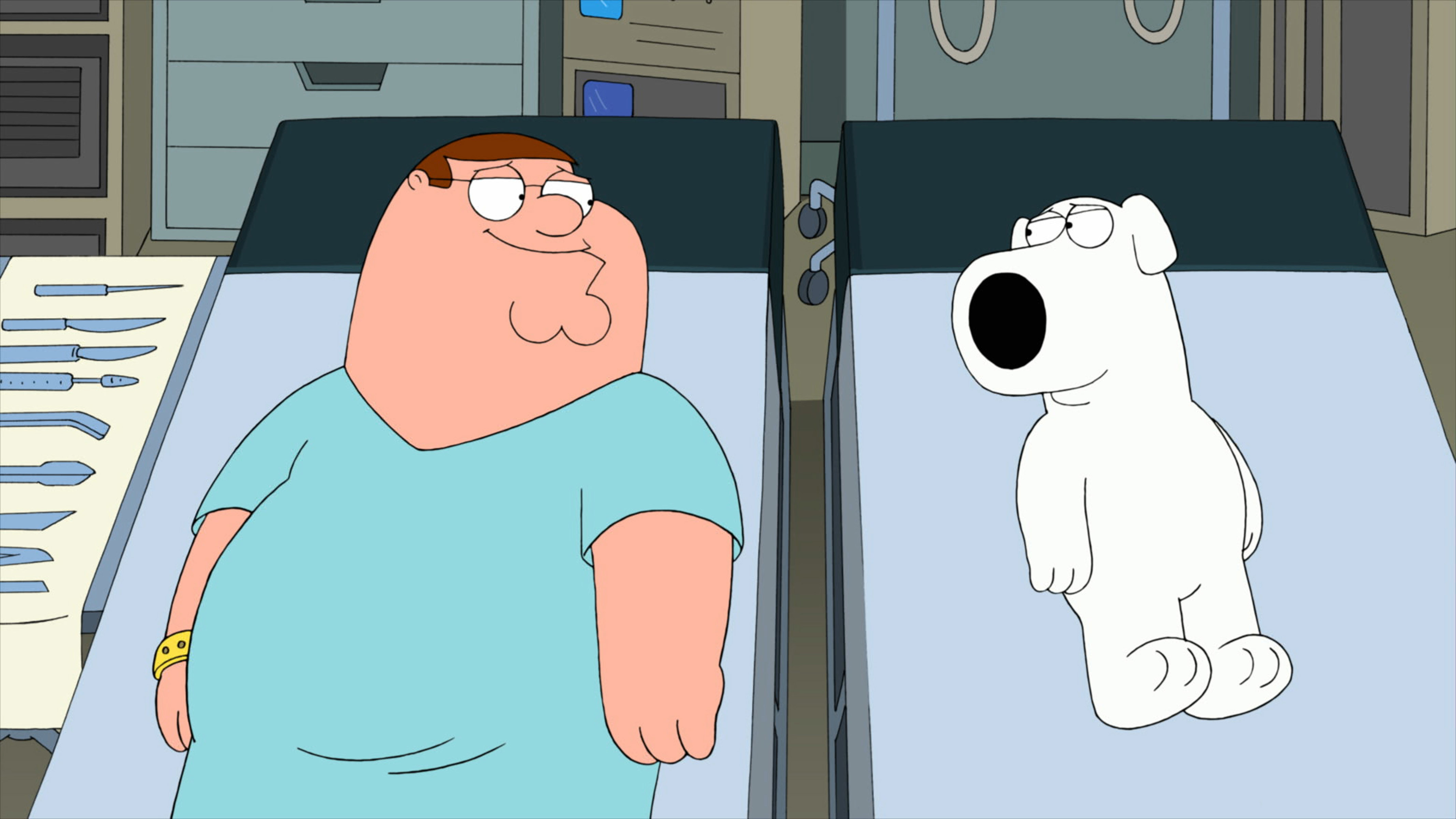 Peter Griffin and Brian Griffin from &quot;Family Guy&quot; in a hospital, standing by beds, seemingly in a discussion