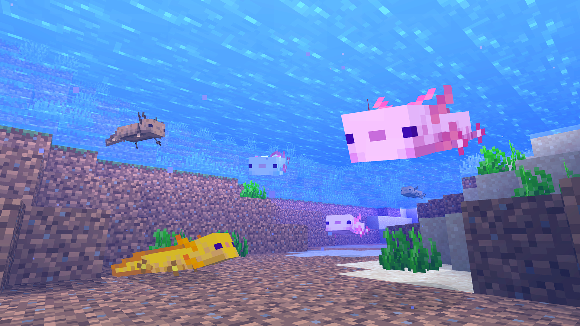 Underwater Minecraft scene with various fish and a swimming pig