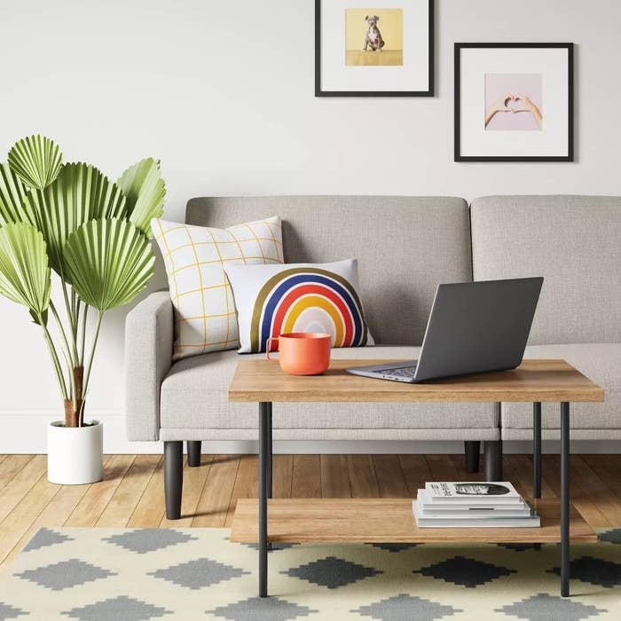A modern living room setup featuring a couch with decorative pillows, a laptop on a coffee table, and a potted plant