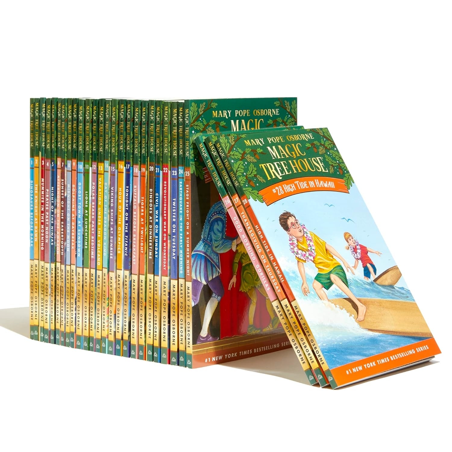 A collection of 'Magic Tree House' books by Mary Pope Osborne displayed with one book tilted forward