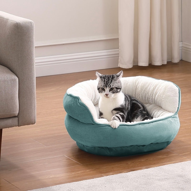 Cat lounging in a plush turquoise pet bed