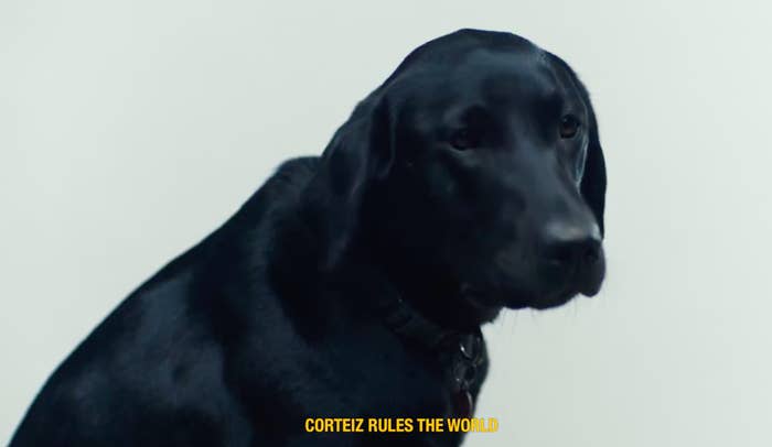 Black dog with text overlay &quot;CORTEZ RULES THE WORLD.&quot;