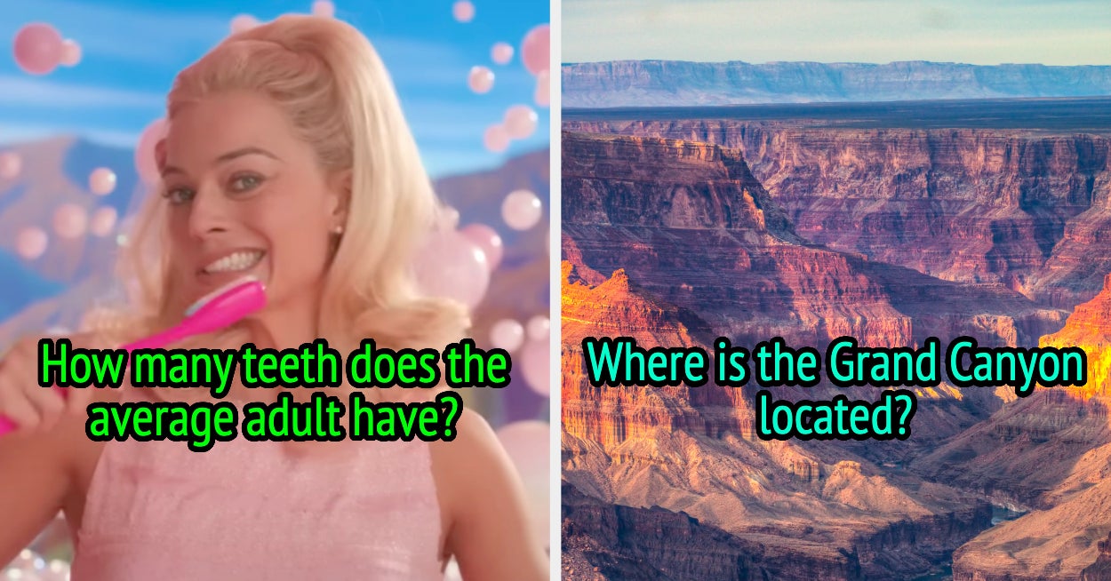 Easy General Knowledge Quiz Easy General Knowledge Quiz