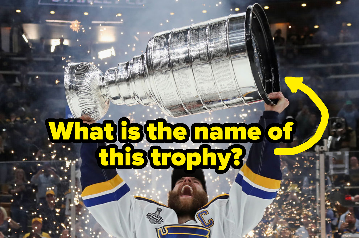 Answer These Hockey Trivia Questions Find Out If You Could Make It In The NHL