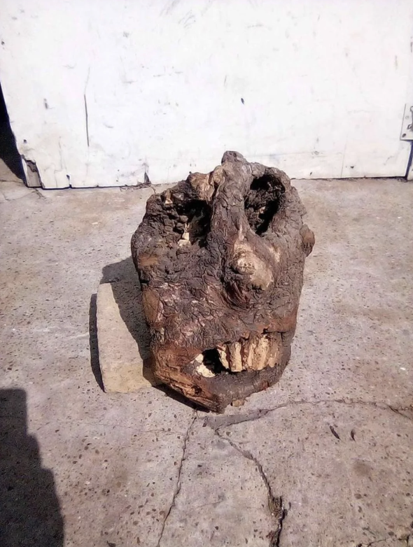 A piece of wood resembling a face with mouth and eyes against a concrete background