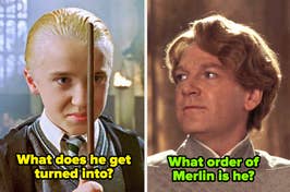 Side-by-side images of Draco Malfoy and Gilderoy Lockhart from the Harry Potter series with overlaid text posing character-related questions
