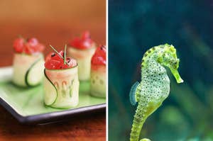 Left: Appetizers with cucumbers and tomatoes on a plate. Right: Close-up of a seahorse in water