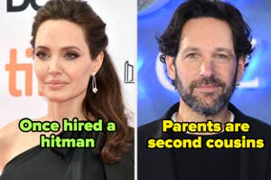 angelina jolie captioned "Once hired a hitman" and paul rudd captioned "Parents are second cousins"