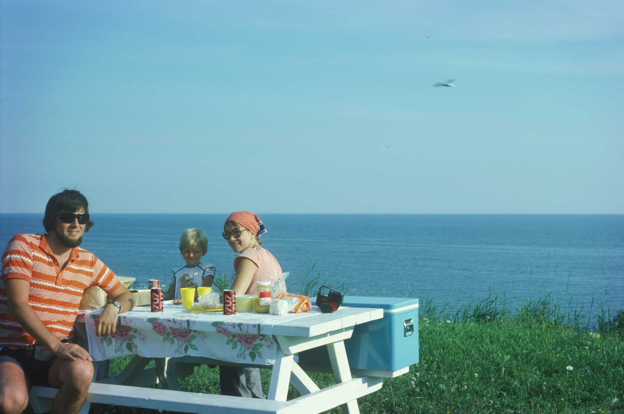 Family picnic by the sea with two adults and a child at a table, enjoying a sunny day