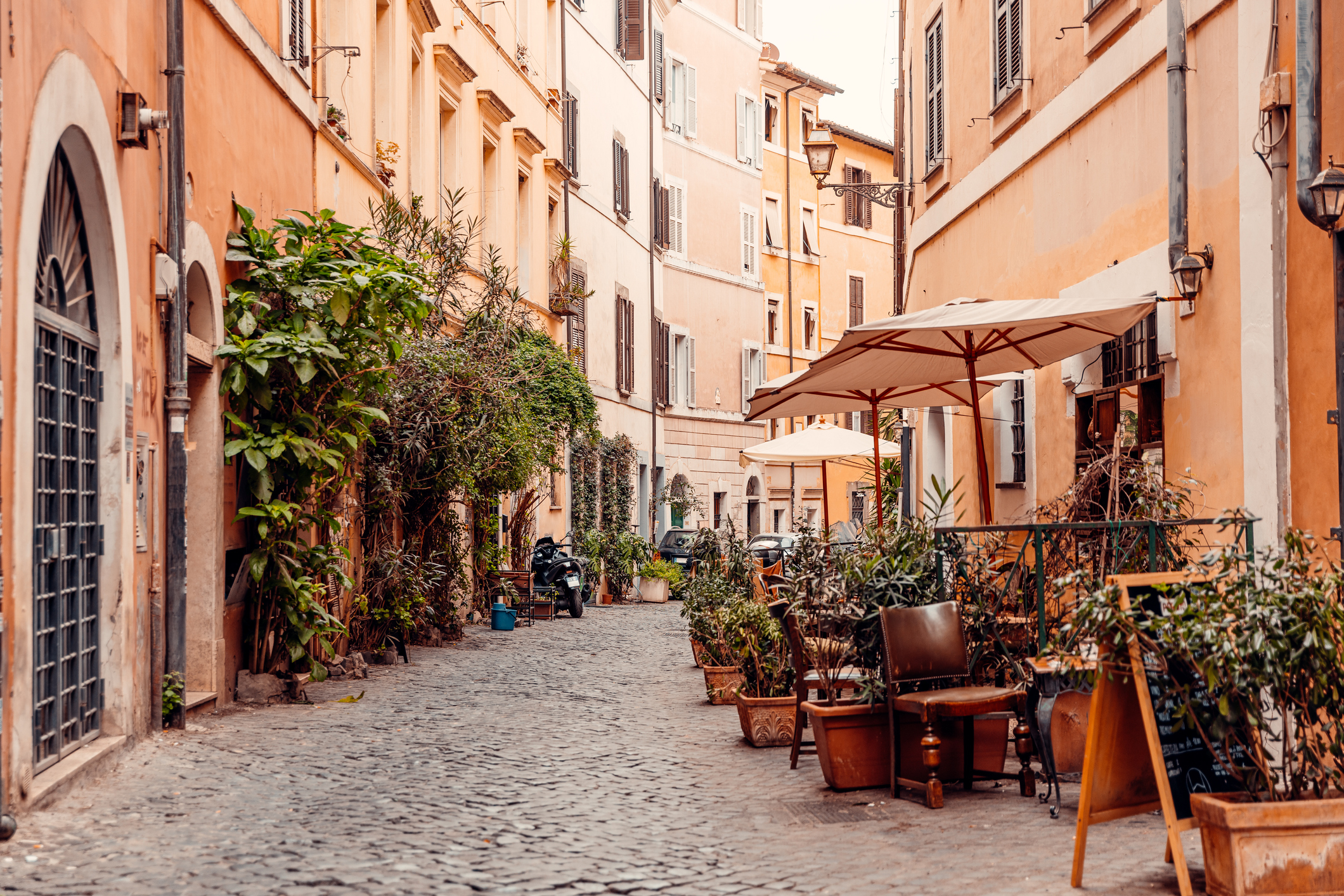 Charming narrow street with cobblestone pavement, lined with plants and café umbrella in a European city