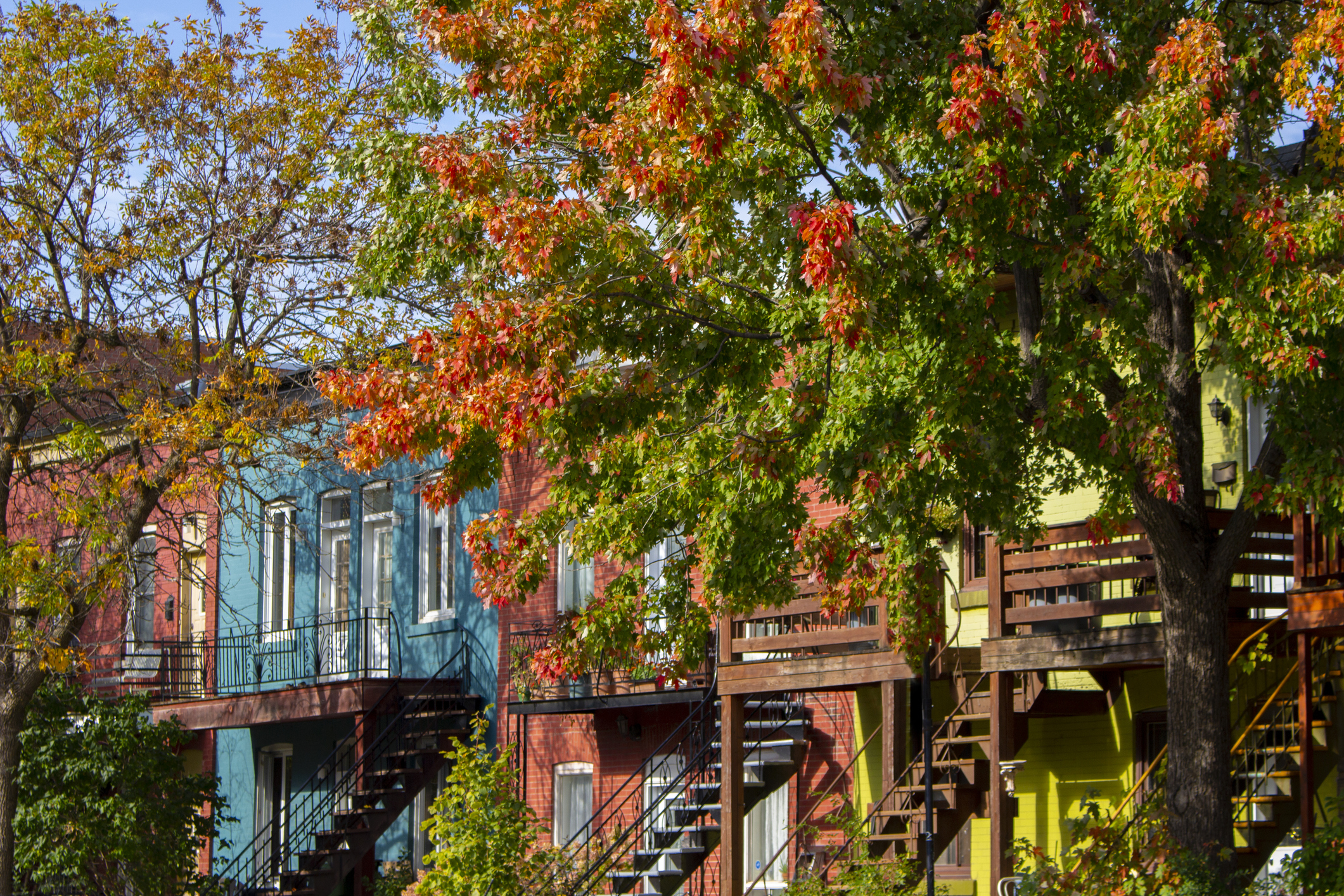 Row of colorful houses with external staircases, surrounded by autumn foliage