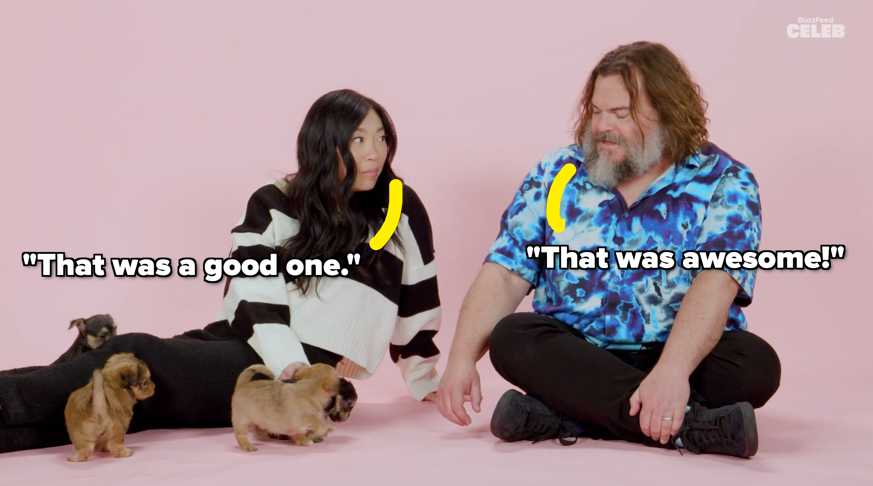 Awkwafina and Jack Black sitting on the floor with puppies around them