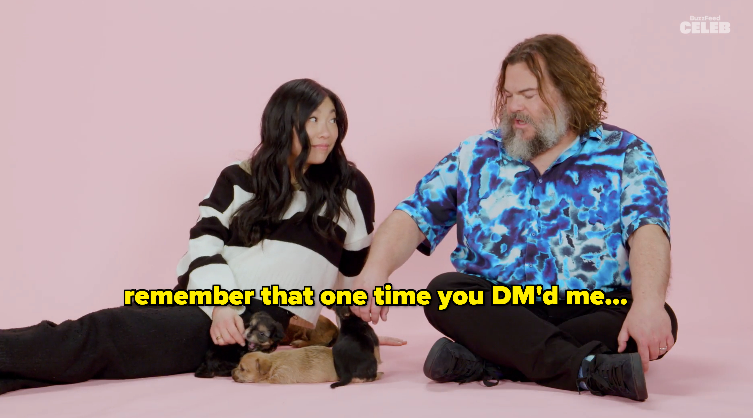 Awkwafina and Jack Black sitting on the floor with puppies
