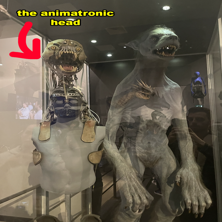 Exhibit of an animatronic creature's head and body on display, with a reflection of onlookers