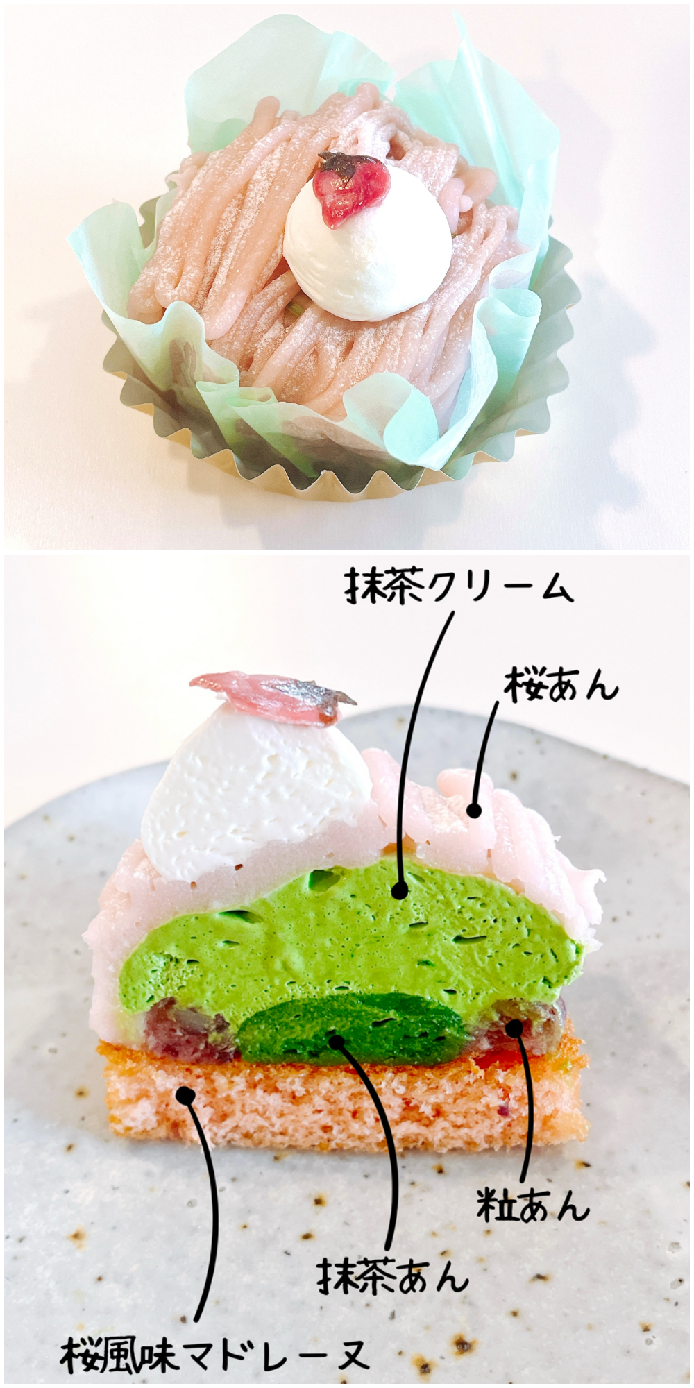 コージーコーナーのおすすめのスイーツ「さくらと抹茶のモンブラン」