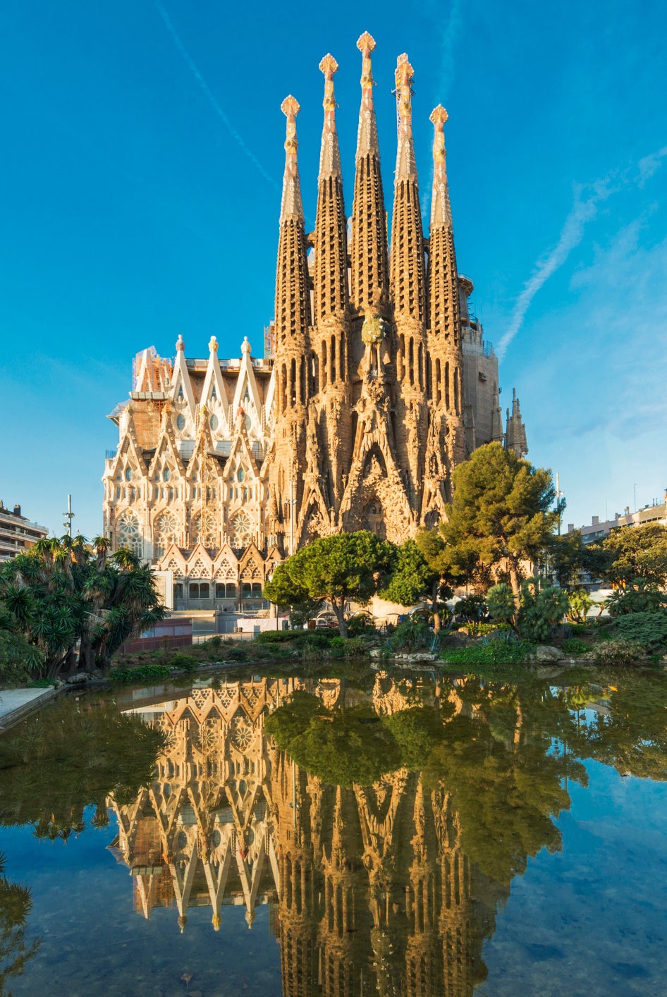 Sagrada Familia cathedral reflecting in water, with surrounding foliage and clear skies