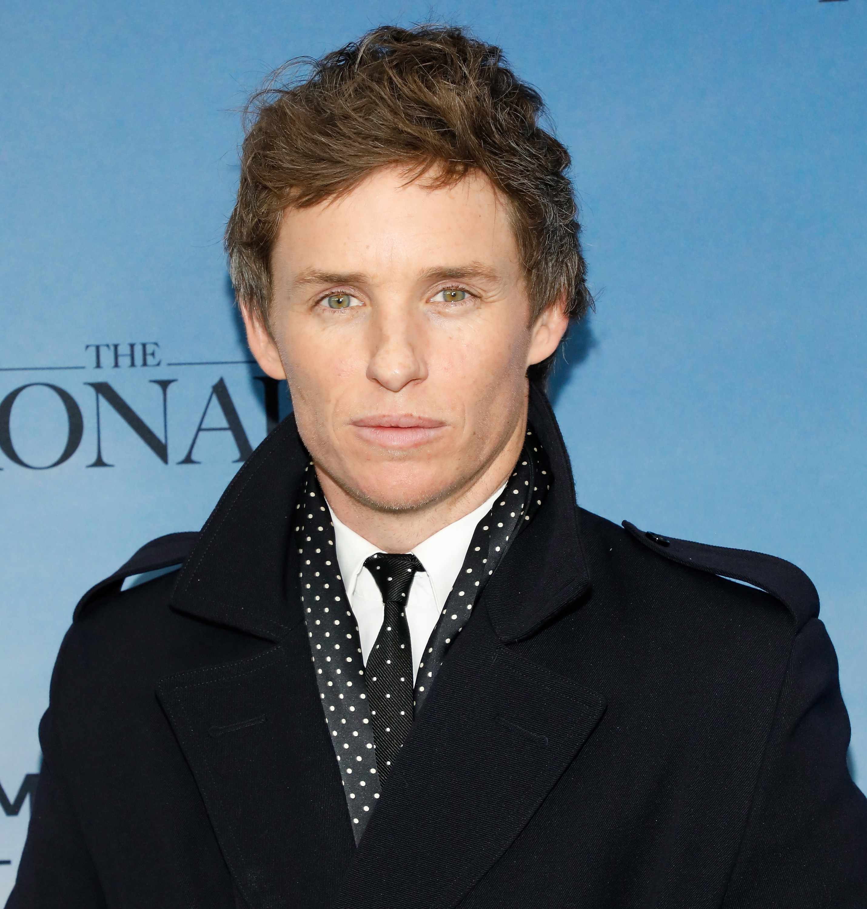 Eddie Redmayne at an event wearing a dark coat and patterned tie