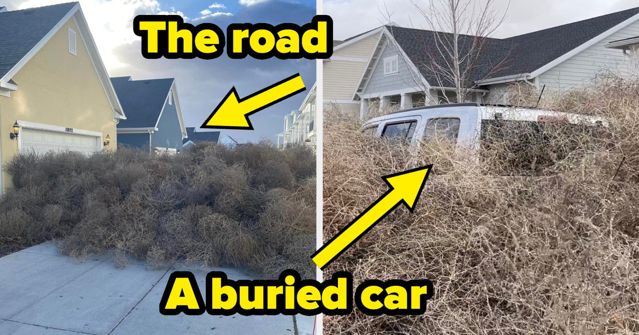 13 Unbelievable Pictures Of A Town Taken Over By Tumbleweeds In Utah