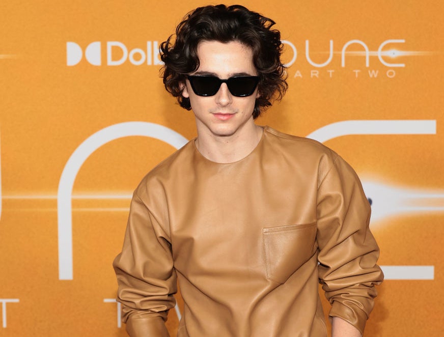 Timothée Chalamet in a leather shirt and pants at a movie premiere. He is also wearing sunglasses
