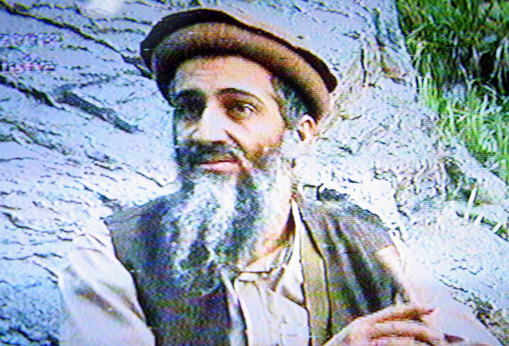 Bin Laden with a beard wearing a hat appears on a grainy television screen