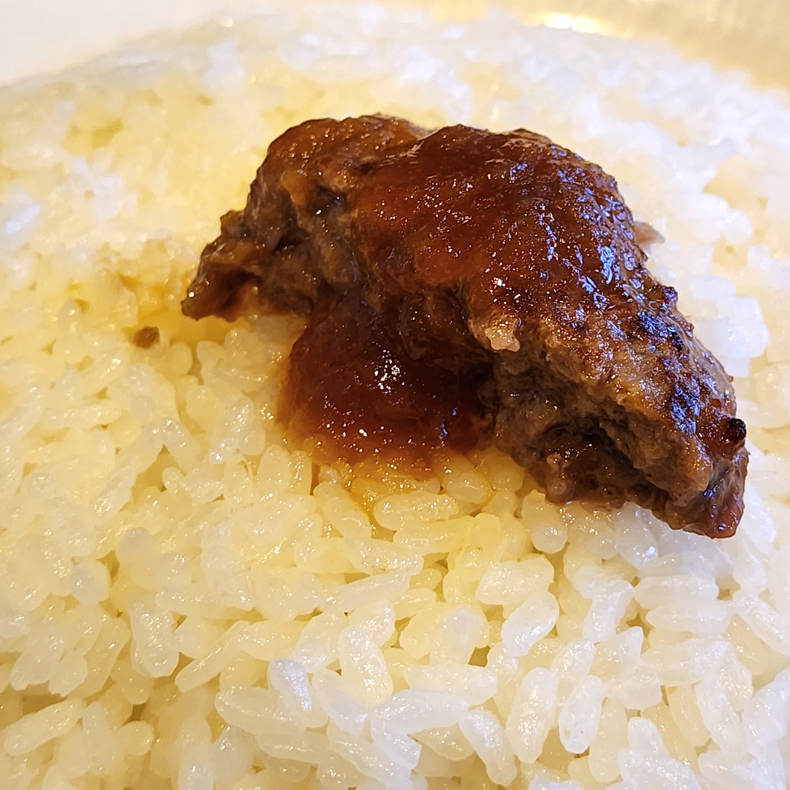 ガストのおすすめフード「ビーフ100%粗挽きステーキハンバーグ〜オニオンソース〜」