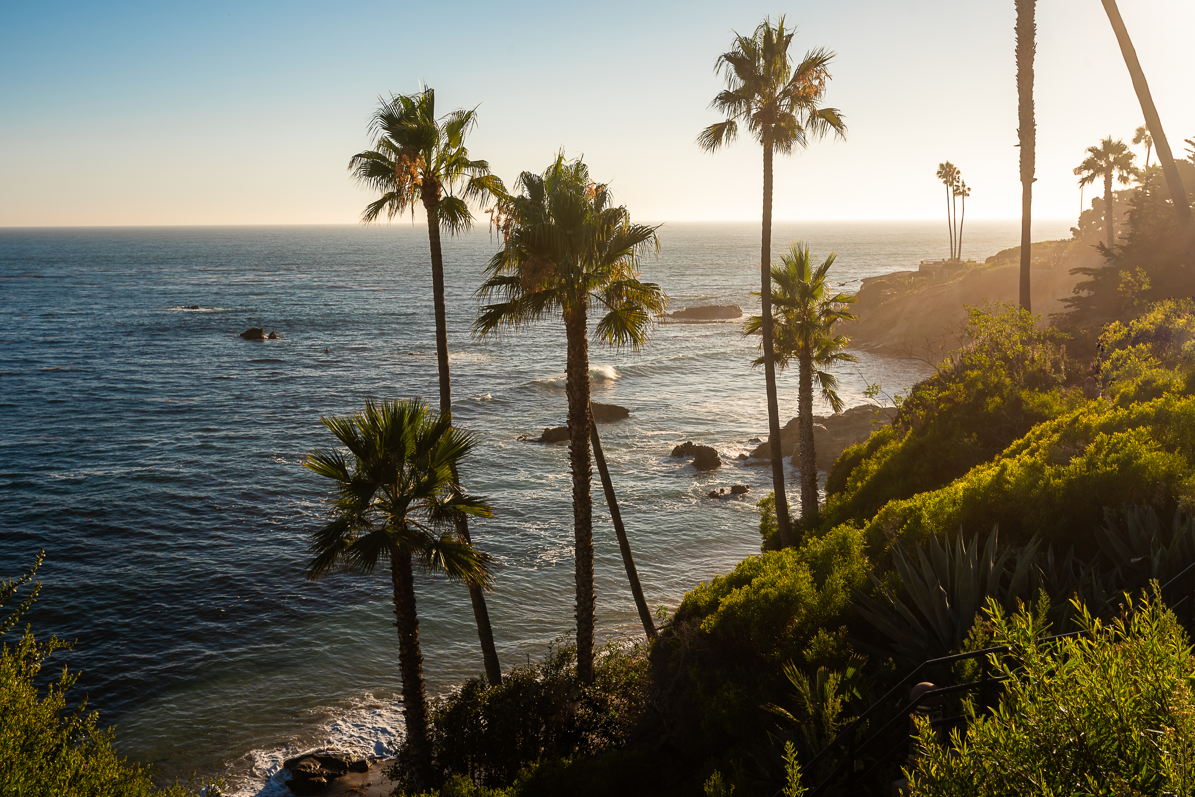 Palm trees and lush foliage overlook a tranquil sea at sunset