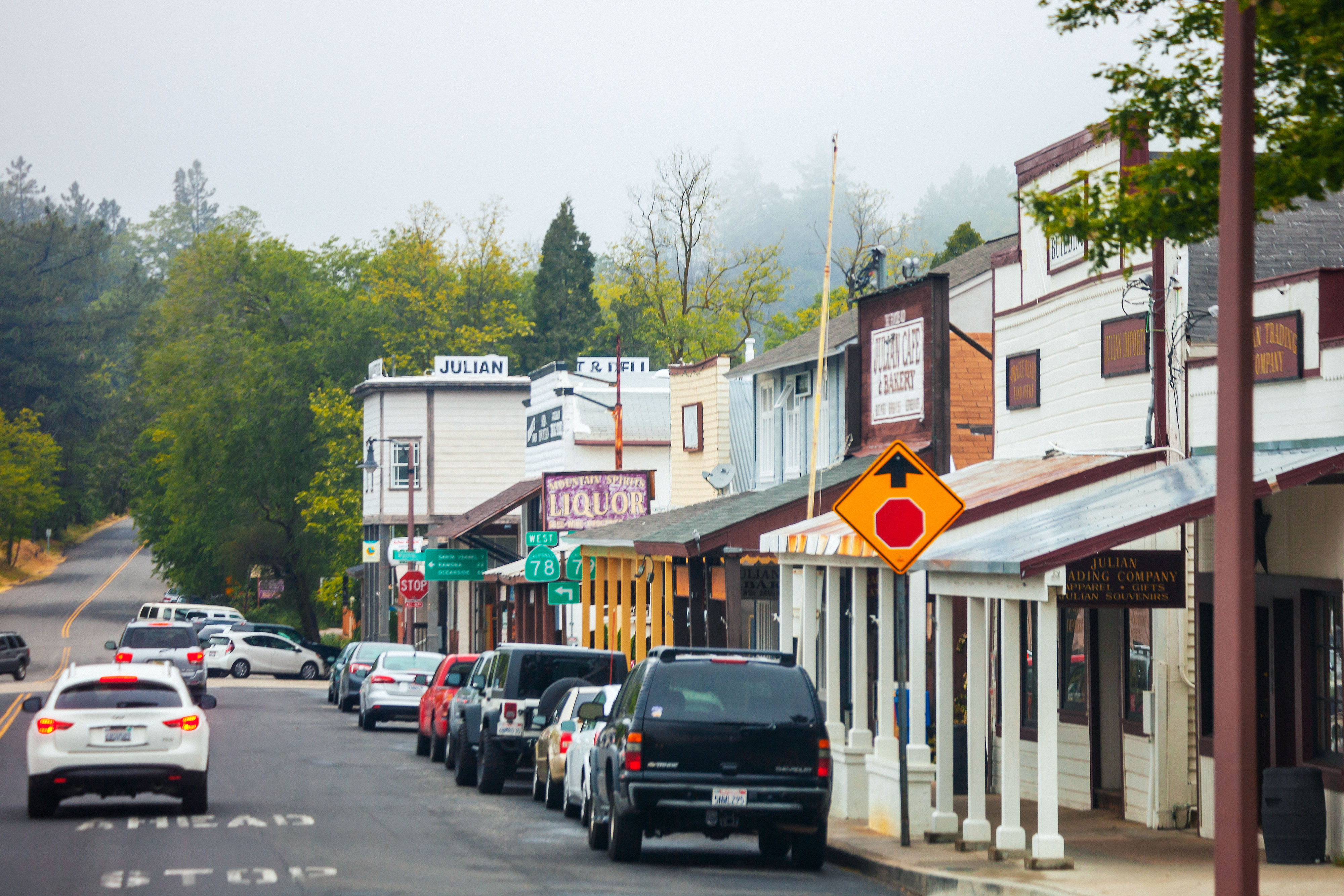 Quaint street of Julian, California with shops, signage, parked cars, and a mountain backdrop
