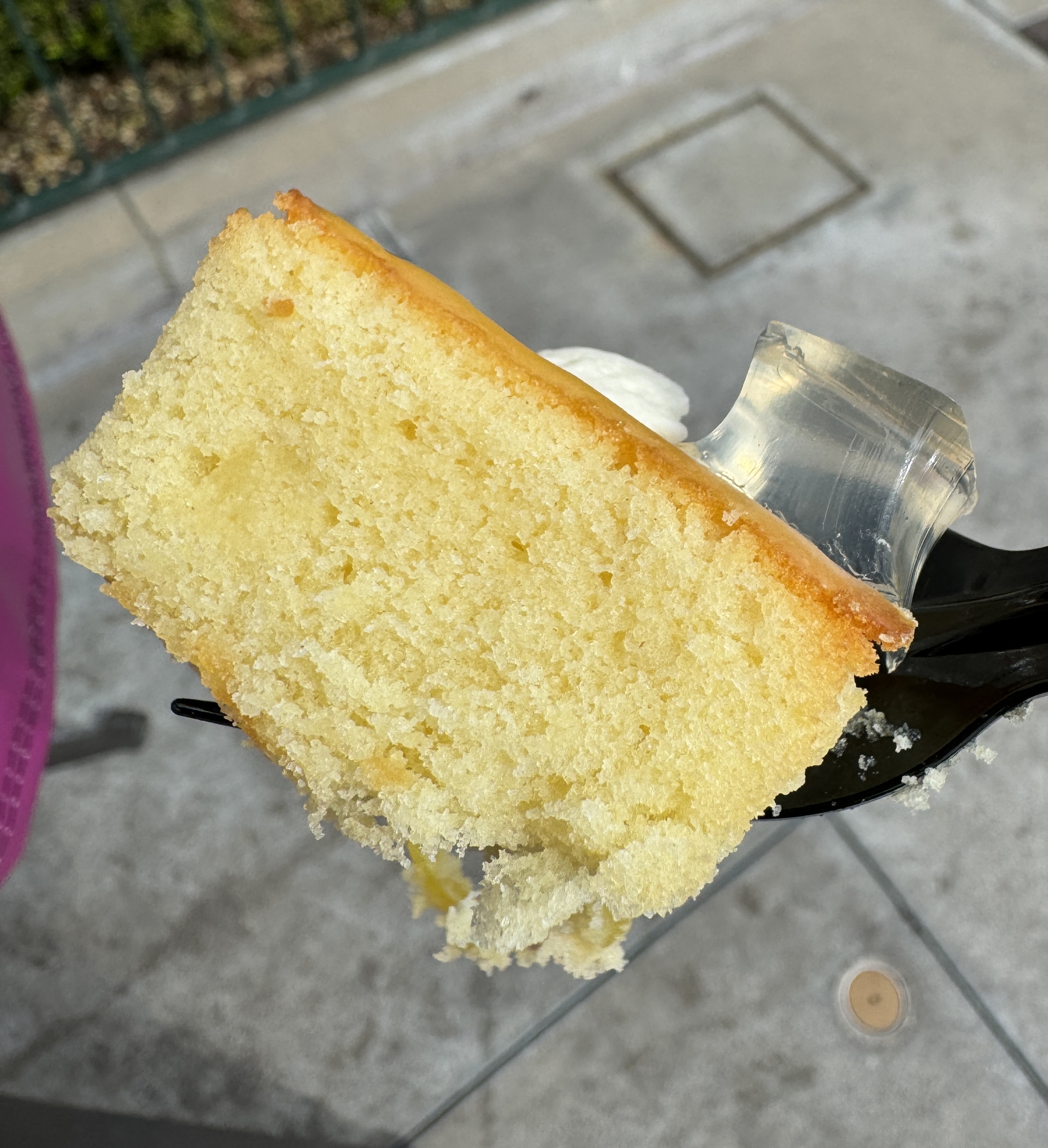 Close-up of a slice of cake on a fork, indicating a food experience while traveling