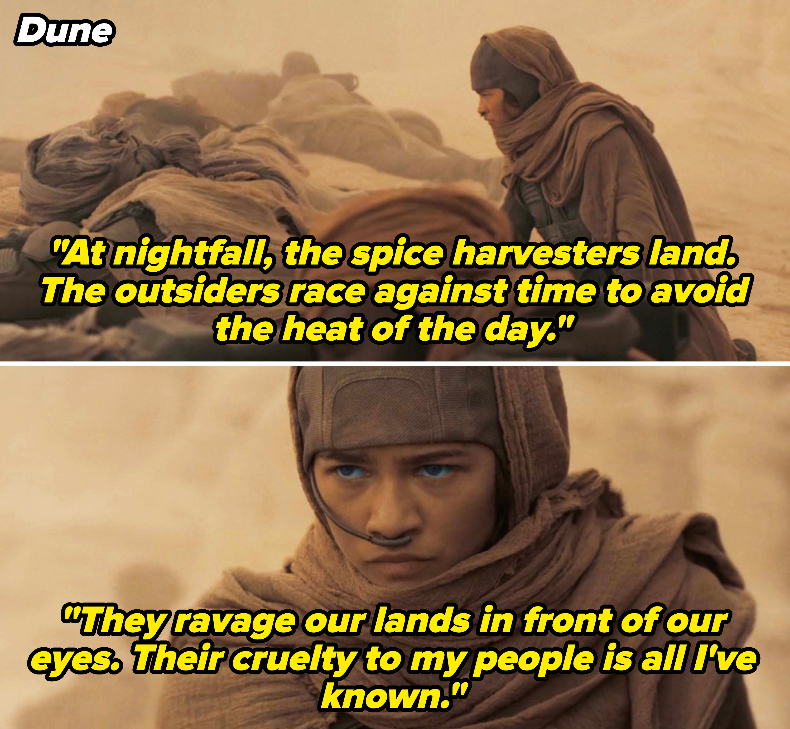 Chani in Dune explaining how outsiders come to mine spice and how they are cruel to her people